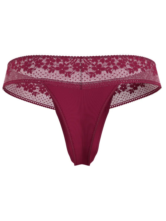 TOMMY WOMENSWEAR - TOMMY THONG