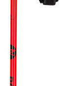 Rossignol - ROSSIGNOL WCS PREMIUM SKIPOLES