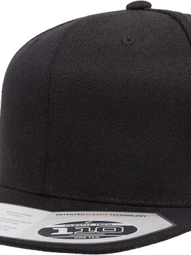 FLEXFIT 110 SNAPBACK