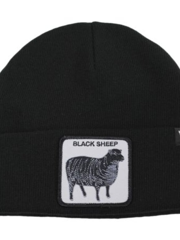 GOORIN BROS - GOORIN BROD SHEEP FOR BRAINS BEANIE