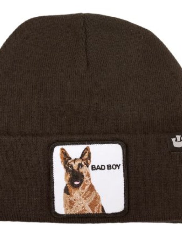 GOORIN BROS - GOORIN BROS SNIFF SNIFF BEANIE