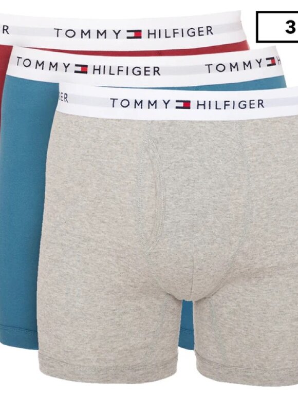 Tommy Hilfiger MENSWEAR - TOMMY Mens Logo Waistband Boxer Briefs (3-Pack)