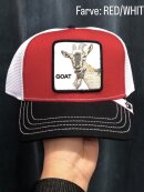 GOORIN BROS - GOORIN BROS THE GOAT