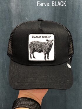 GOORIN BROS BLACK SHEEP