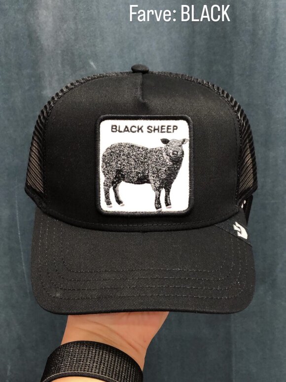 GOORIN BROS - GOORIN BROS BLACK SHEEP