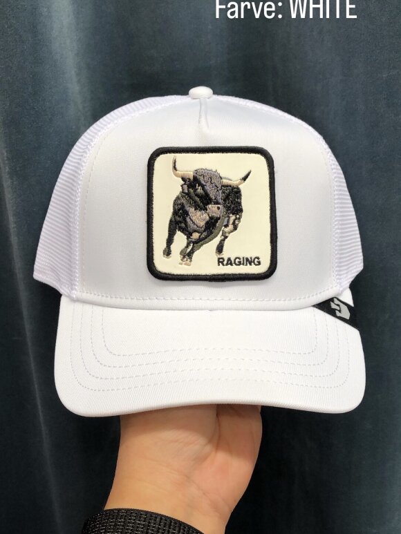 GOORIN BROS - GOORIN BROS RAGING