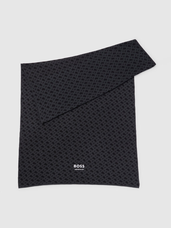 BOSS WOMENSWEAR - BOSS Lonogram SCARF