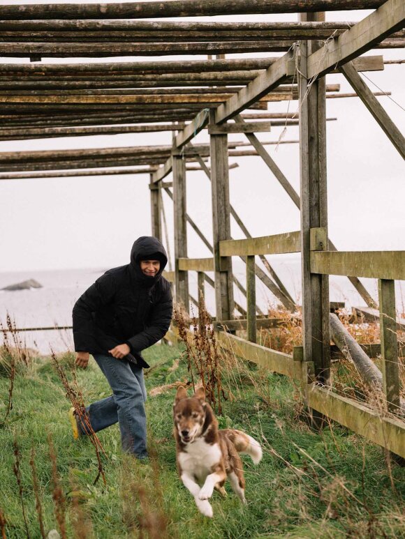 Scandinavian Edition - SCANDINAVIAN EDITION RADIAN II APEX