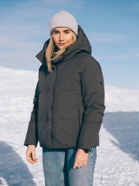 SCANDINAVIAN EDITION ACME II