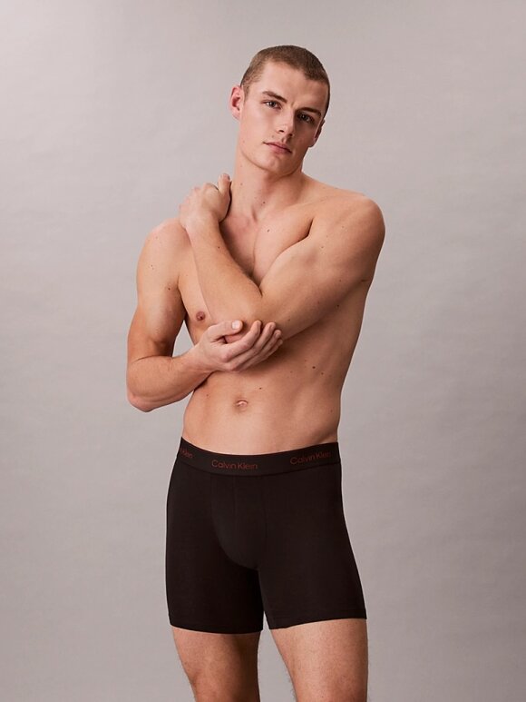 Calvin Klein - CALVIN KLEIN 3 Pack Boxer Briefs - Icon Cotton Stretch