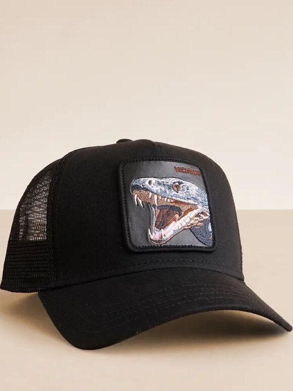 GOORIN BROS - GOORIN BROS THE VICIOUS SNAKE