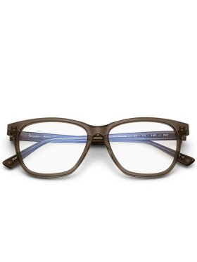 BISOU REMY READING GLASSES