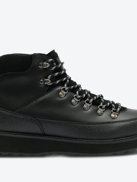 ARKK Alpine