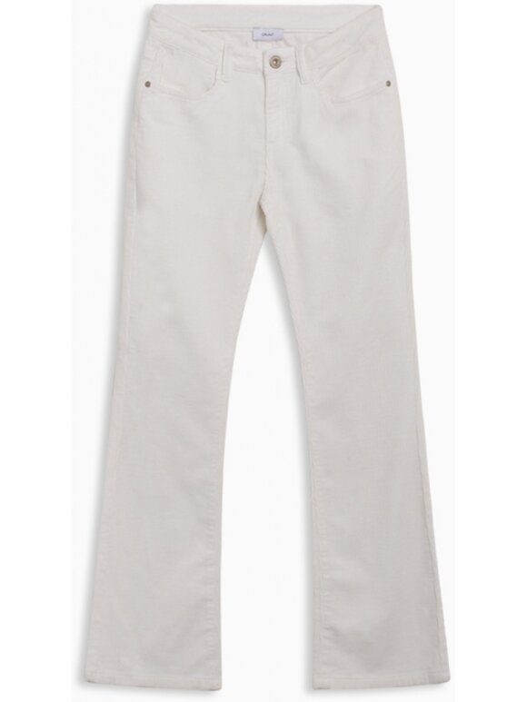 Woodbird - Flare cord pant