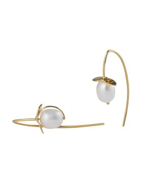 Pearl Drop Hook Earrings